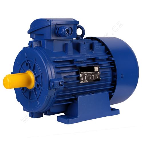 3 kW / 1450_IE3_T3A 100L2-4_230/400 V_D/Y_B3