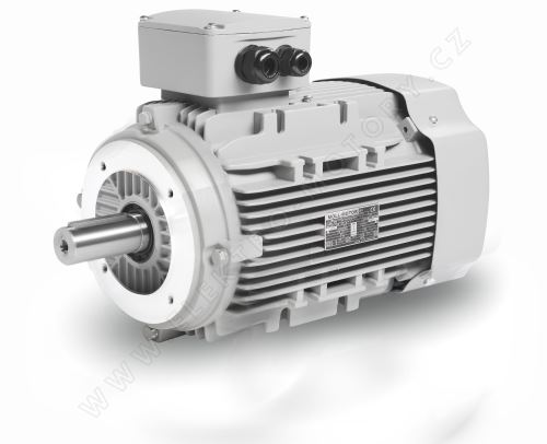5,5 kW / 970_IMB14F1_IE3_Y3PE-132 MB6_400/690 V_ D/Y