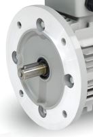 Bearing shield MS 132 B5 CAG Bazar