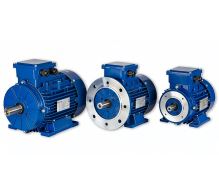 11 kW / 1450_IE2_MS 160M-4_400/690 V