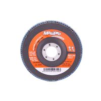 Lamelový kotúč 125mm, G100