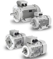 3 kW / 1455_IE3_Y3PE-100 LB4_400/690 V_D/Y