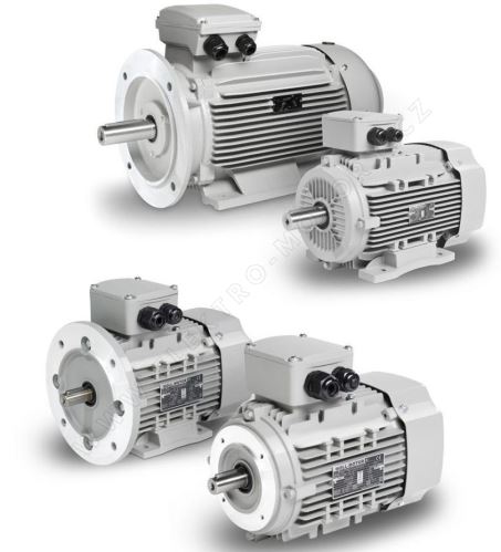 5,5 kW / 1450_IE3_Y3PE-132 S4_400/690 V_ D/Y 