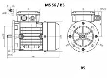MS 56/B5_Rozměry (1)