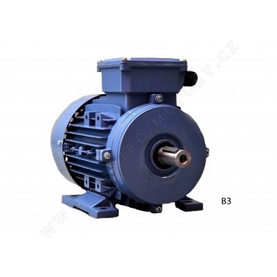 1,1kW / 710; IE1; MS 100L2-8; 230/400 V;D/Y_B3