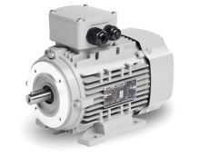 0.25kW / 1320 rpm B34F1 / IE1 Y3-63 C4 with increased power