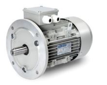 30 kW / 1480 rpm B5 / IE3 Y2PE-200 L4
